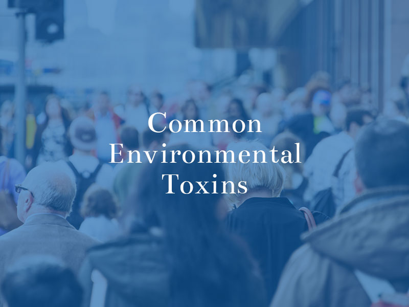 common environmental toxins